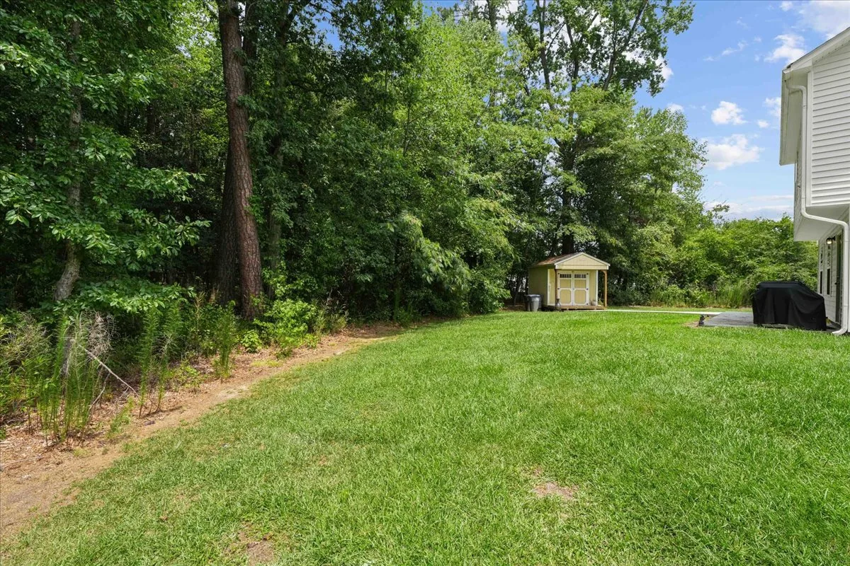 Private wooded backyard